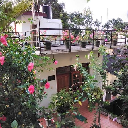 Araliya Home Stay Канді Екстер'єр фото