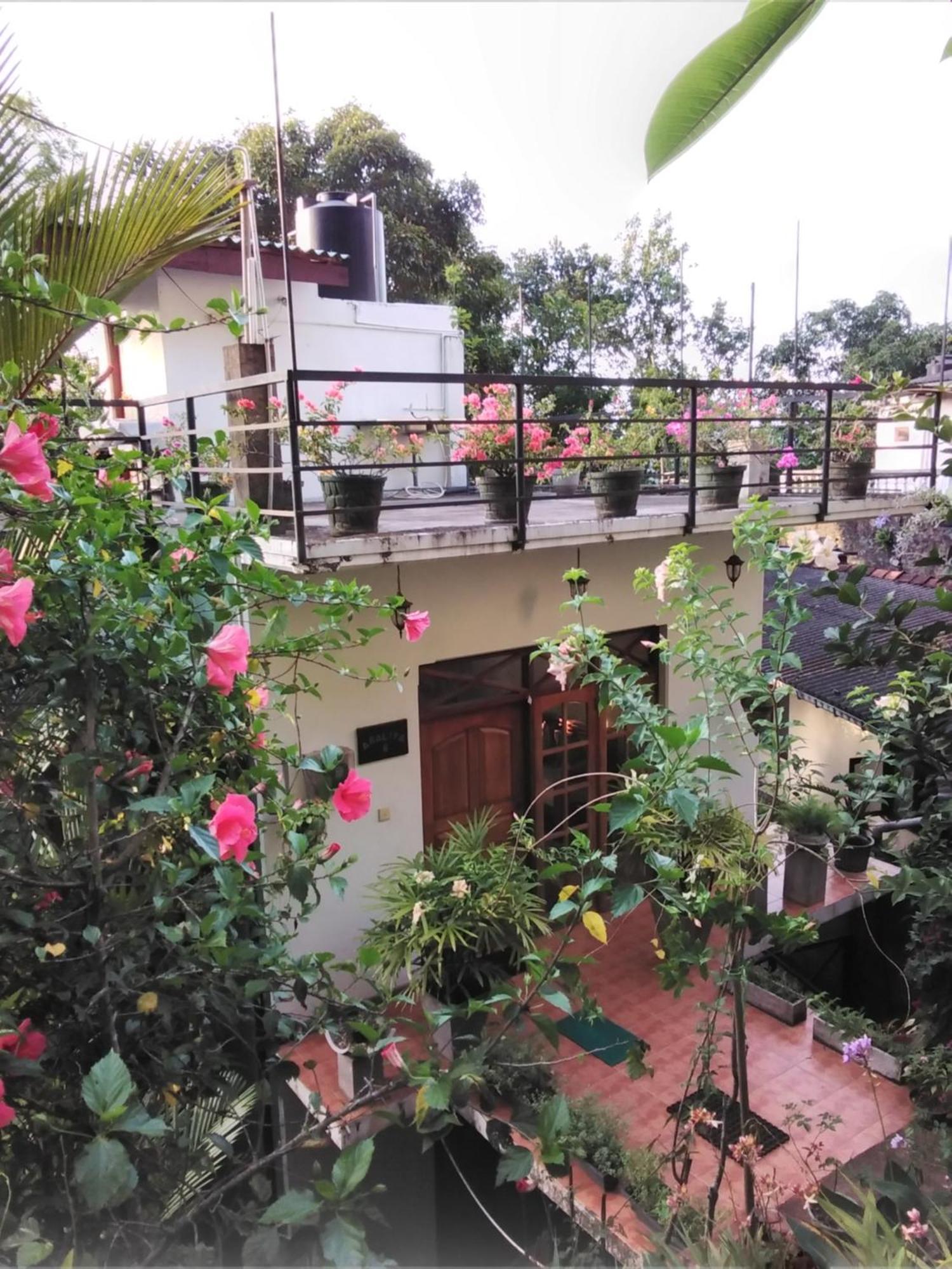 Araliya Home Stay Канді Екстер'єр фото